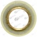 Melc pompa ulei drujba Stihl 290, 390, 310, 311, 391, 360, 340, 029, 039, 034, 036 